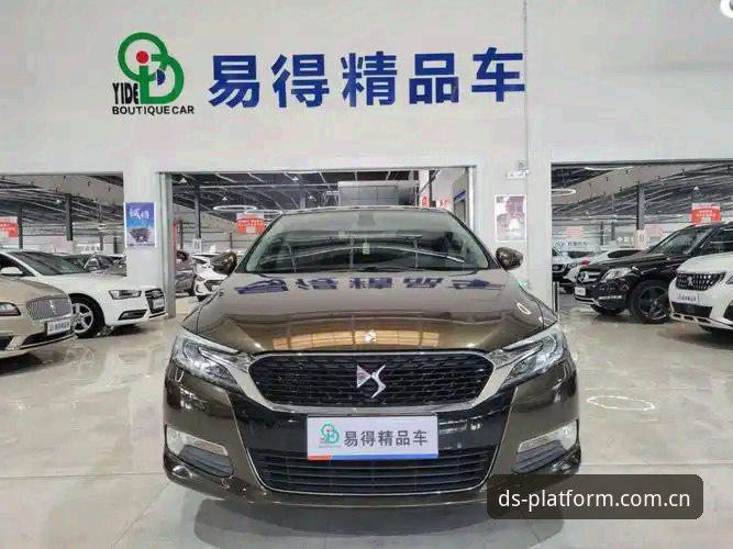 鼎盛DS v3.0.8全面评测:从用户反馈到平台安全性的深度分析